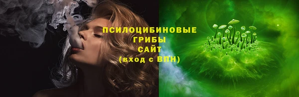 герыч Арсеньев